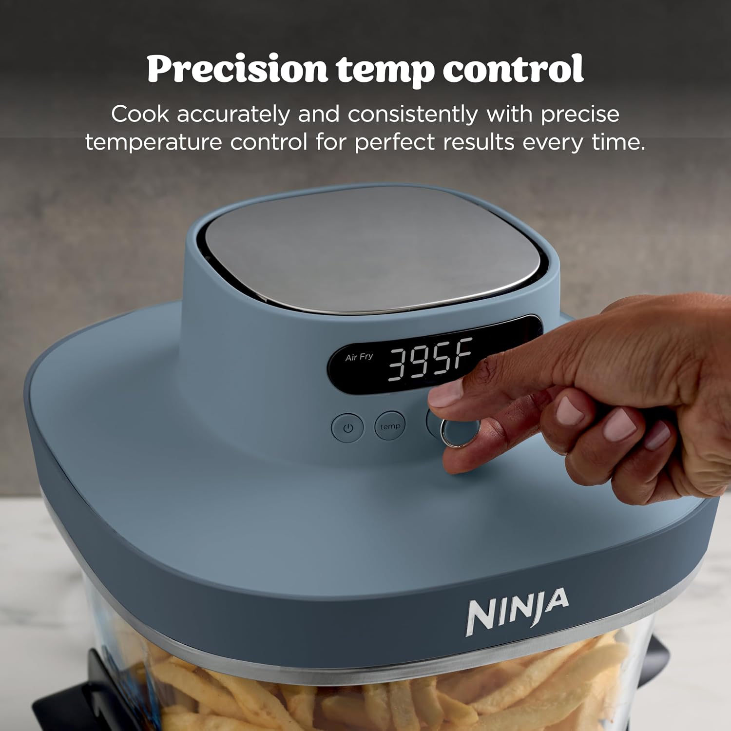 Friggitrice ad Aria Ninja Cris - Deep Fryer Commercial recensione e prezzo