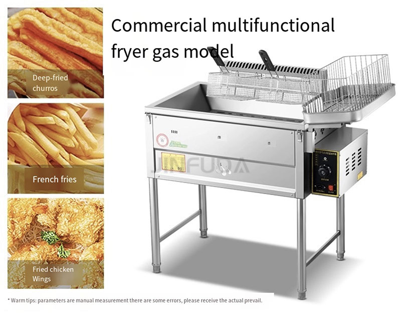 Friggitrice Elettrica Commerci - Deep Fryer Commercial recensione e prezzo